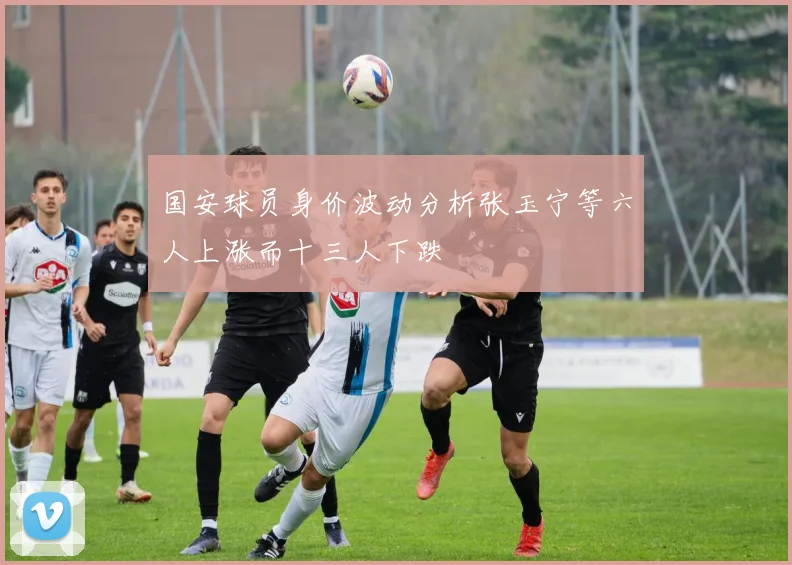 国安球员身价波动分析张玉宁等六人上涨而十三人下跌