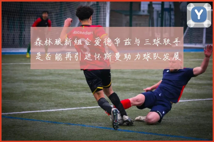 森林狼新组合爱德华兹与三球联手是否能再引进怀斯曼助力球队发展